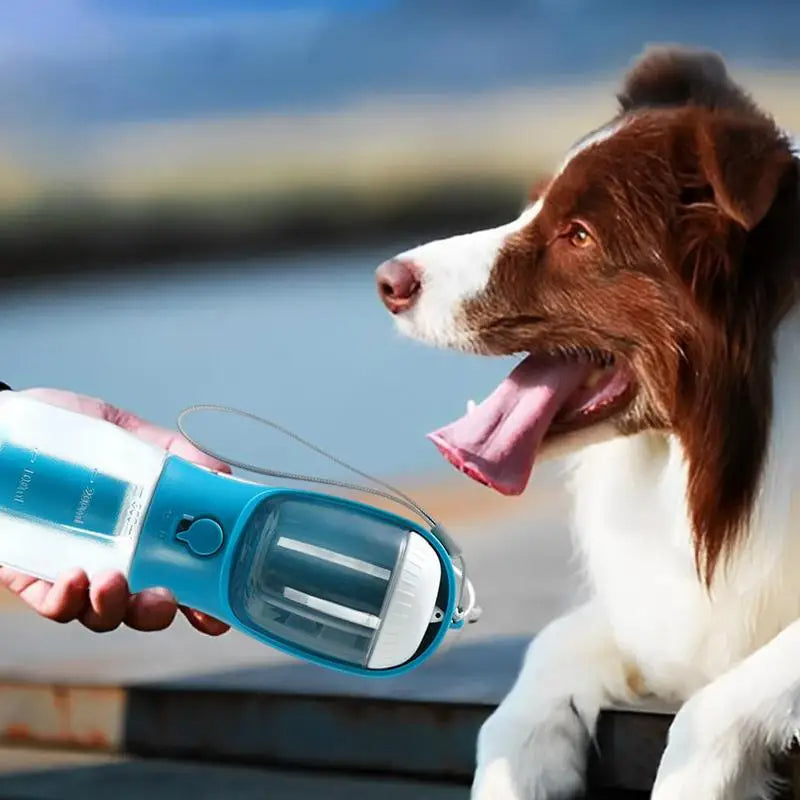 Gourde 3-en-1 Portable pour Animal – Eau, Nourriture & Sacs