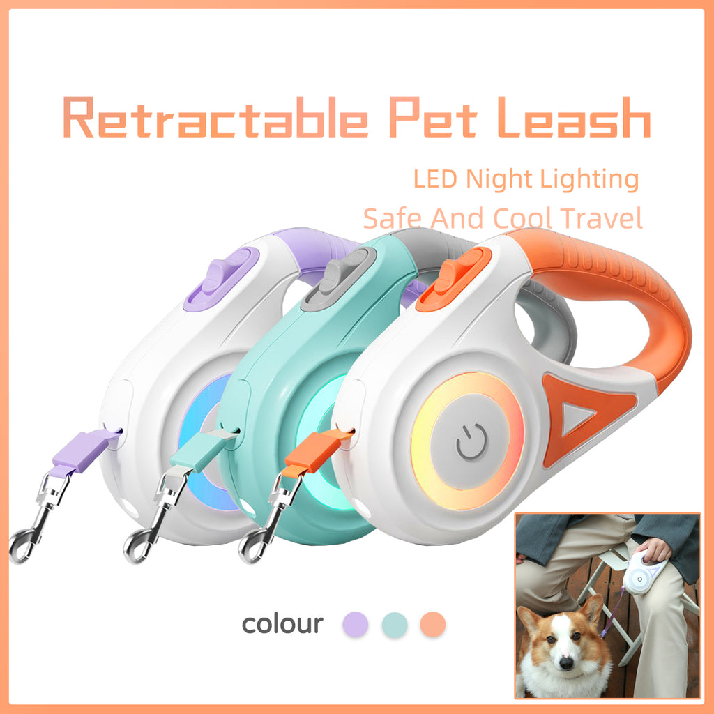 Laisse rétractable pour chien avec collier – Système automatique