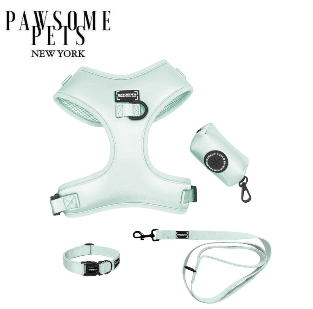 Kit de promenade pour animal – Vert Menthe