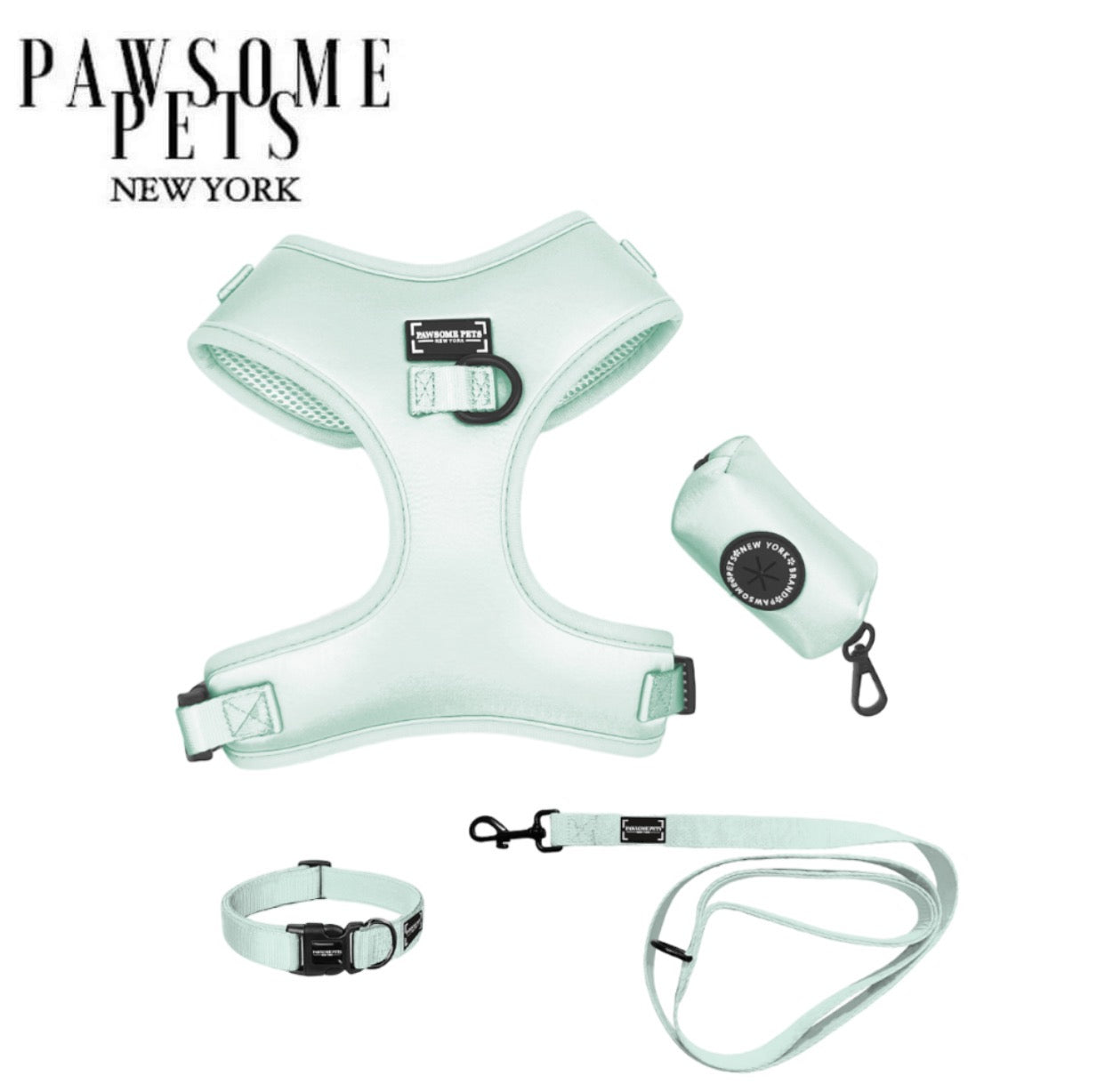 Kit de promenade pour animal – Vert Menthe