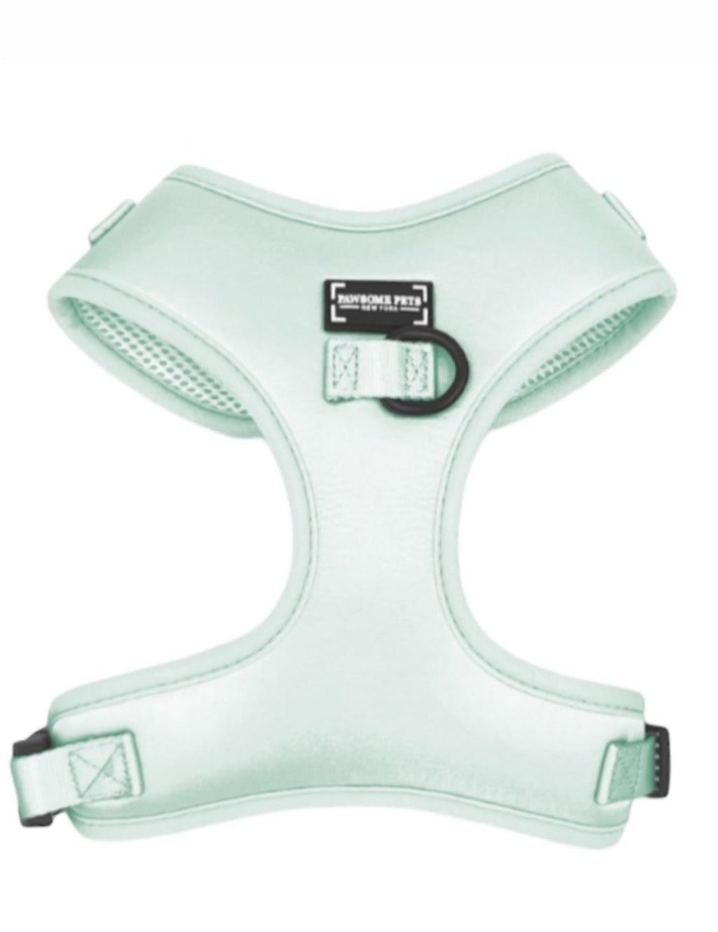 Kit de promenade pour animal – Vert Menthe