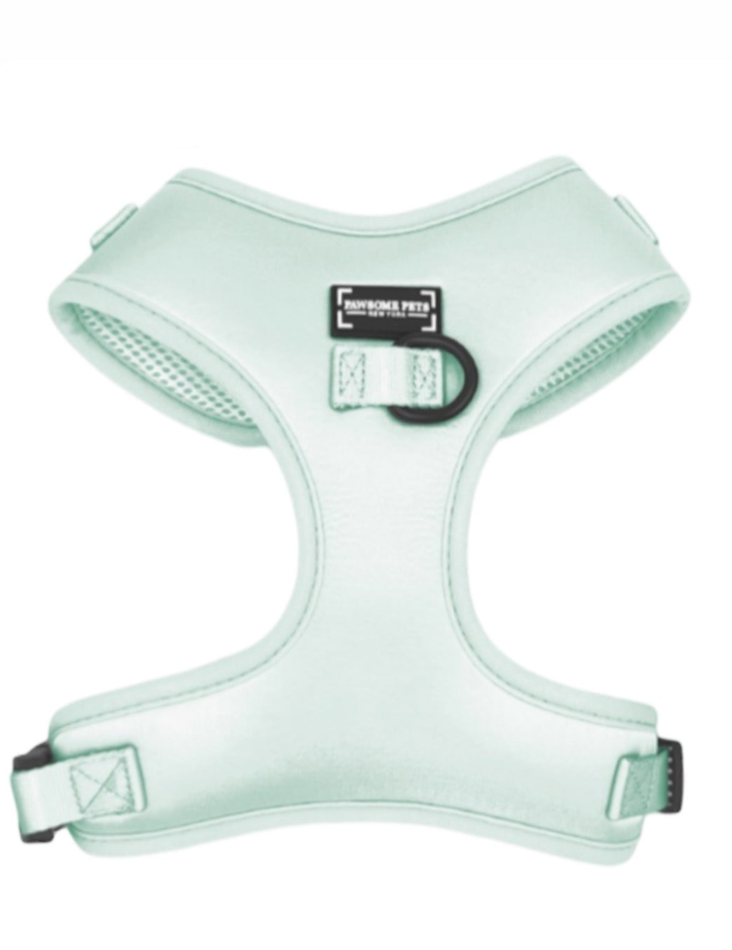 Kit de promenade pour animal – Vert Menthe
