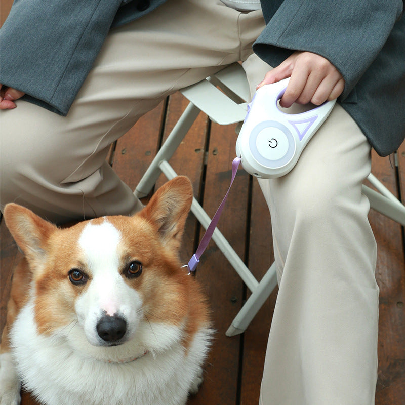 Laisse rétractable pour chien avec collier – Système automatique