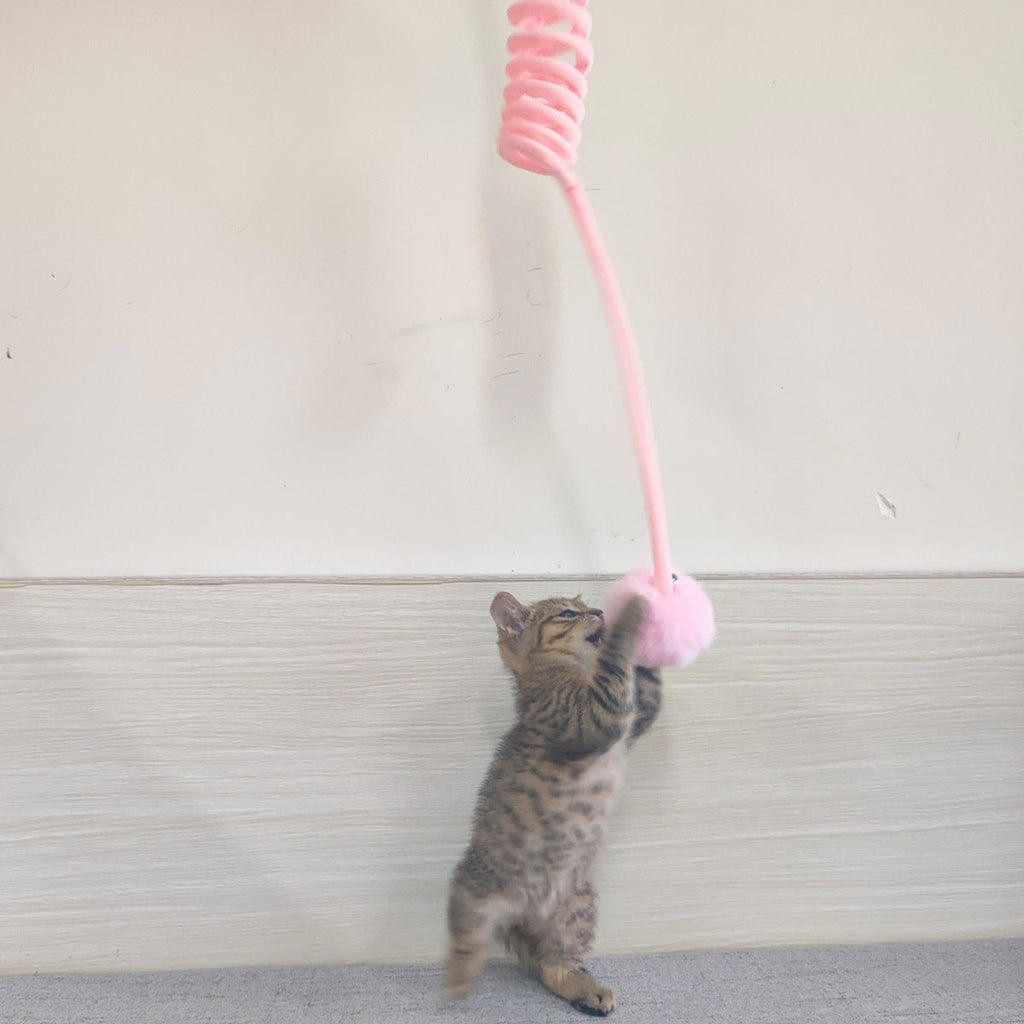 Jouet interactif pour chat – Balle à ressort lapin